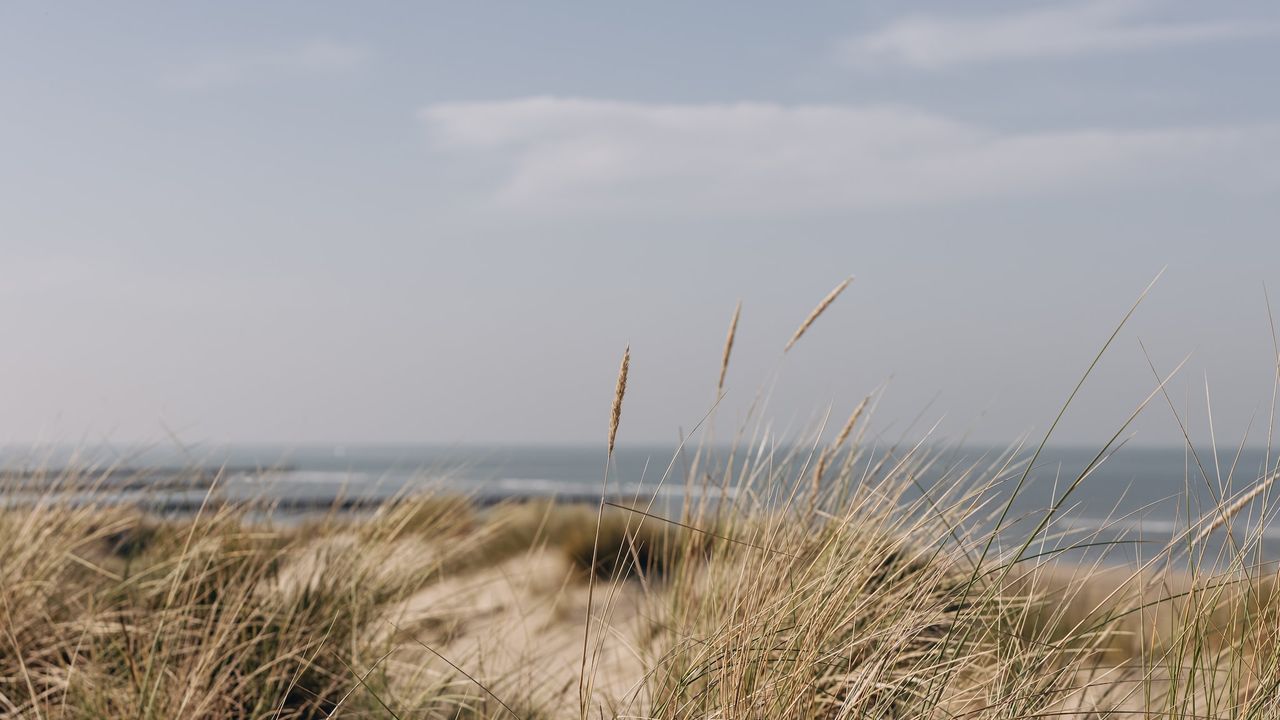 AreaSummer1KM AreaSummer1KM